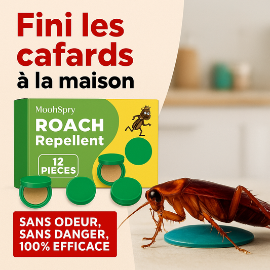 Piège à cafards de cuisine - pack 12 pièces